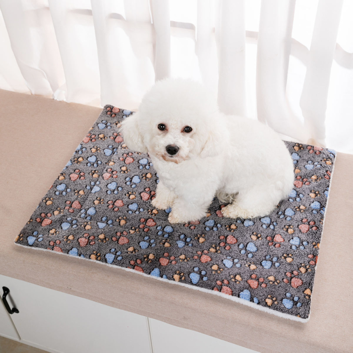 pat pentru caini [7]