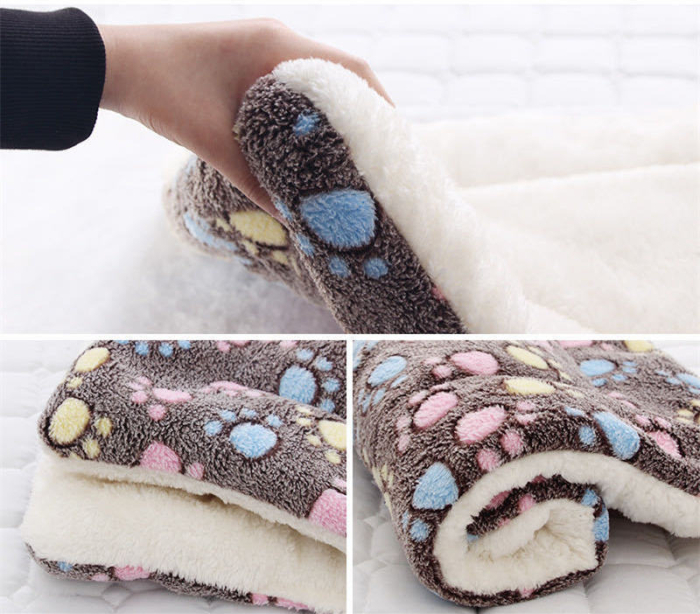 pat pentru caini [8]