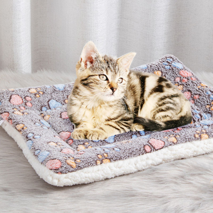 pat pentru caini [5]