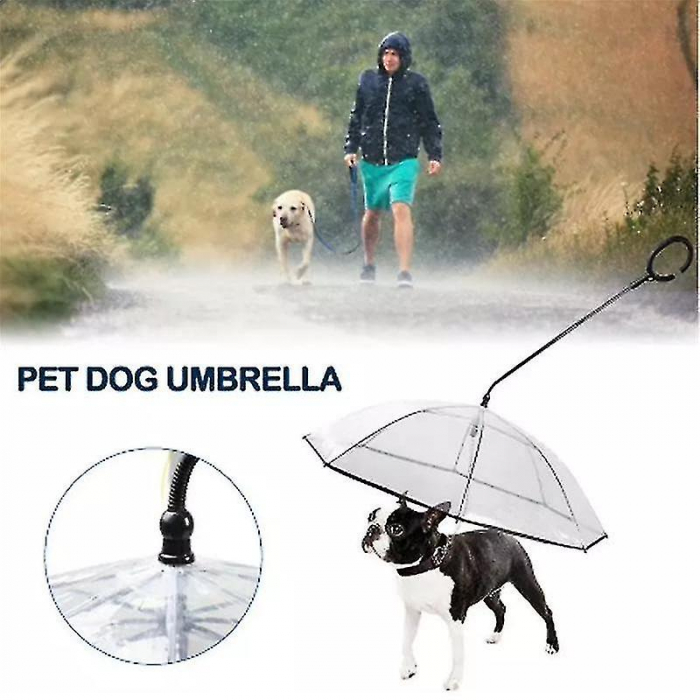 umbrela pentru caini [8]