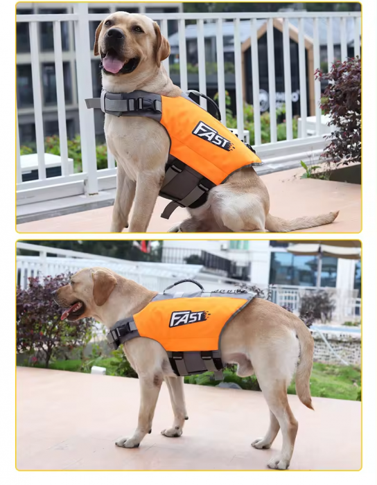 vesta de salvare pentru caini [2]