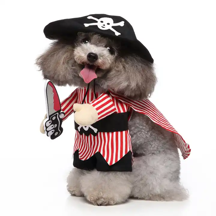 Haine si accesorii - costum de halloween pentru caini