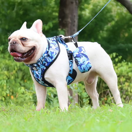 ham elegant pentru caini