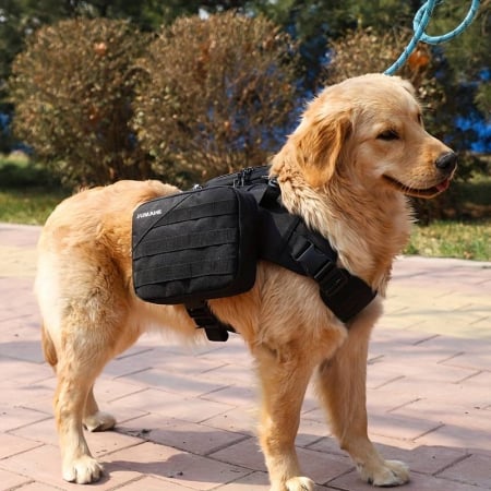 Haine si accesorii - ham pentru caini