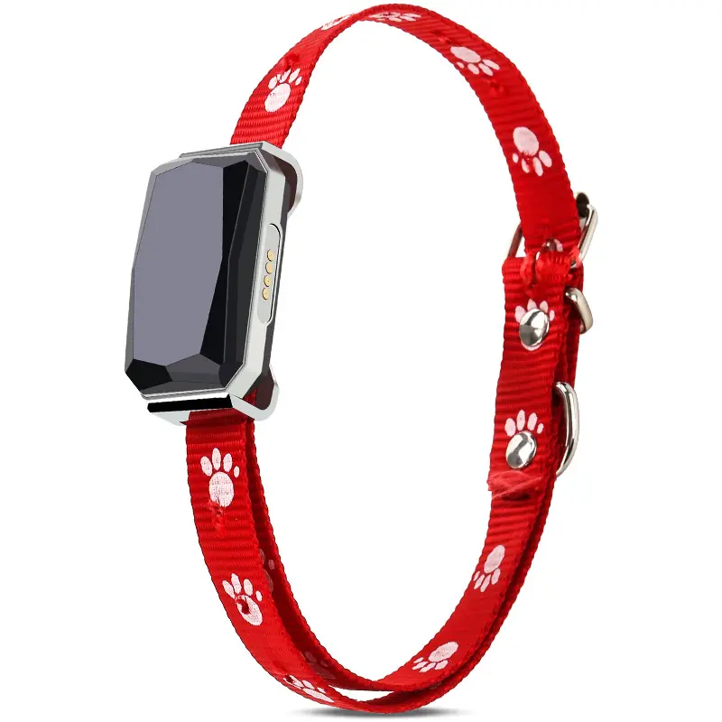 Locator GPS/zgarda dresaj - gps pentru caini