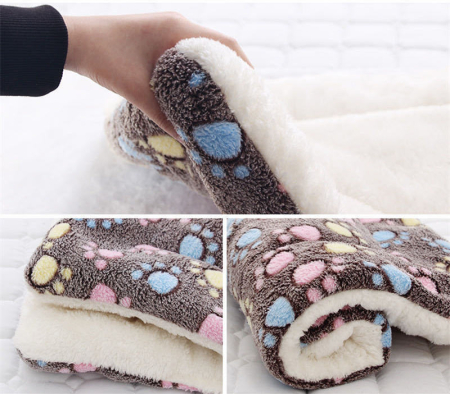 pat pentru caini [7]