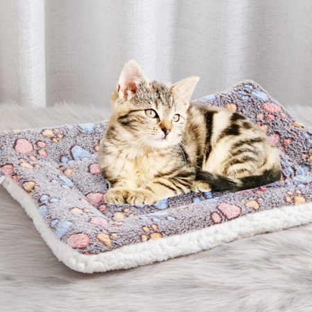 pat pentru caini [4]