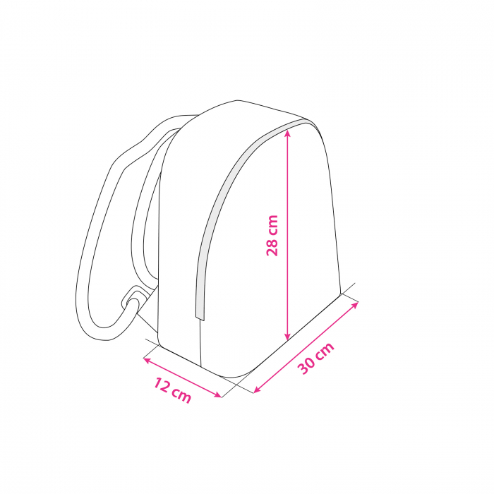 Rucsac din piele naturala cu print digital, RD-01 Mickey 01-C, Gri [3]