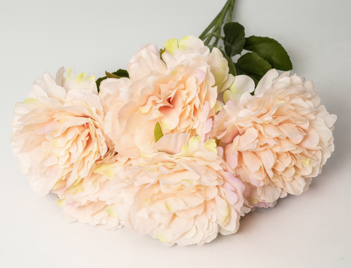 BUCHET 5 BUJORI 4 Frunze Q12 CM/ H48 CM [1]