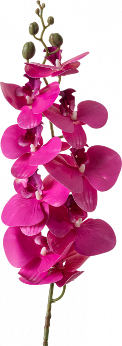 Floare Orhidee Decorativă  – Elegantă și Realistă [1]