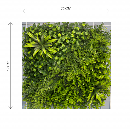 Decor din Plante - Panou Verde Mix50-3