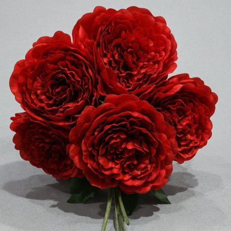Flori - BUCHET 5 BUJORI 4 Frunze Q16 CM/ H54 CM