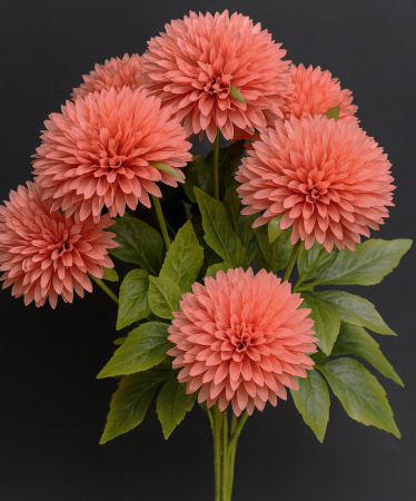 Flori - BUCHET 7 CRIZANTEME  6 frunze Q11 cm/ H 42 cm