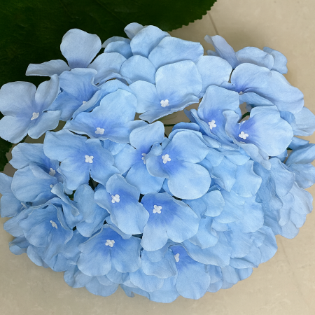 Flori - Floare HORTENSIE  Q 16,5 cm /H 54 cm