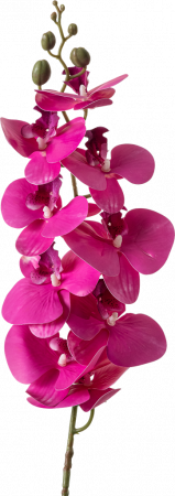 Flori - Floare Orhidee Decorativă  – Elegantă și Realistă