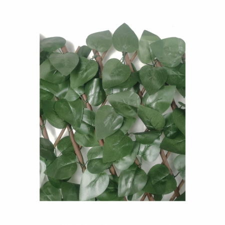 Garduri - GARD EXTENSIBIL PREMIUM Frunze Salvie A2812003