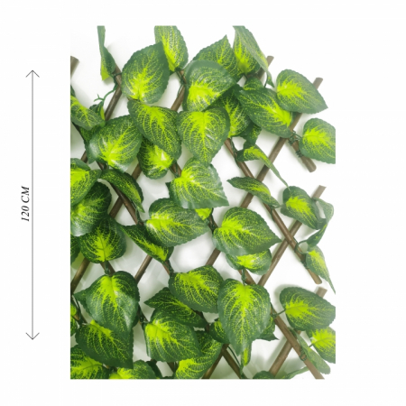 Garduri - GARD EXTENSIBIL PREMIUM cu Frunze de Salvie Bicolor A2812009