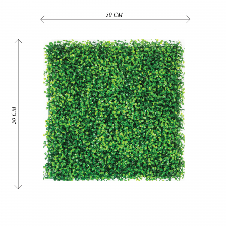 Decor din Plante - Panou Verde Simplu 50x50 cm