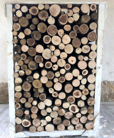 Lemn - foc - Diverse tari - Lemn foc