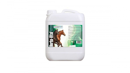 Ingrijire caini - Herba Vital sampon cabaline, 1L