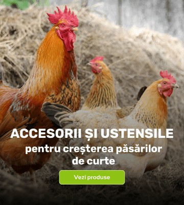 păsări de curte