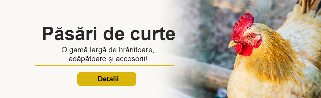 Păsări de curte