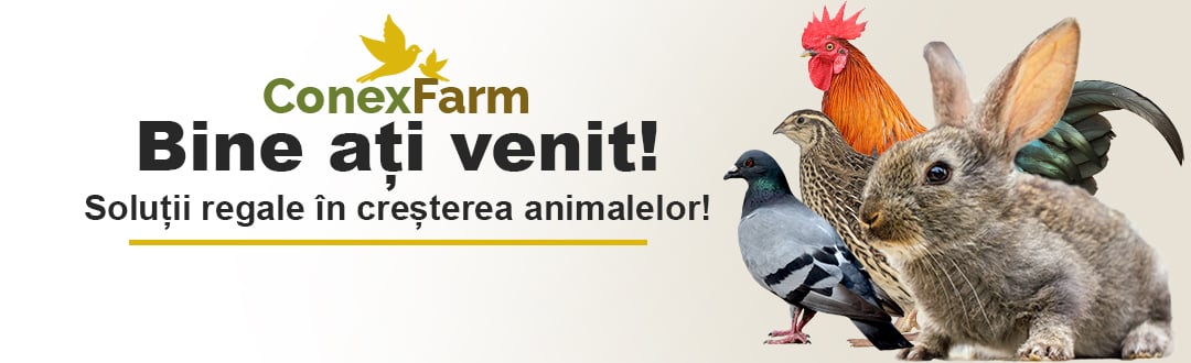 Bine ați venit!