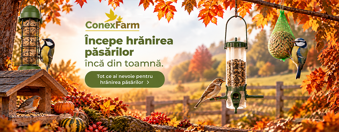 Tot ce ai nevoie pentru hrănirea păsărilor