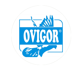 Suplimente - Ovigor