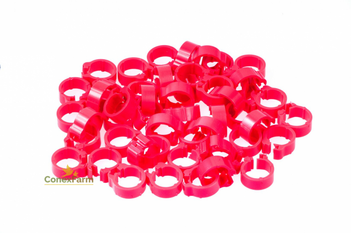 Inele(cleme) recunoaștere Ø 8x5 mm/ 50 buc [3]