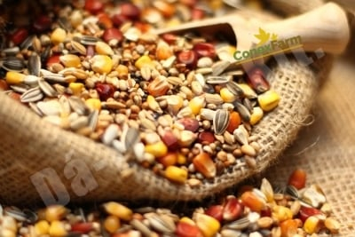 Da-Fincsi hrană de porumbei Sport Special fără mazăre - 3 kg [1]