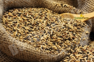 Da-Fincsi hrană pentru Canari 3 kg [1]