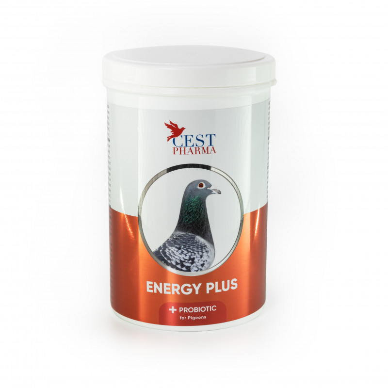 Energy Plus 600g [1]
