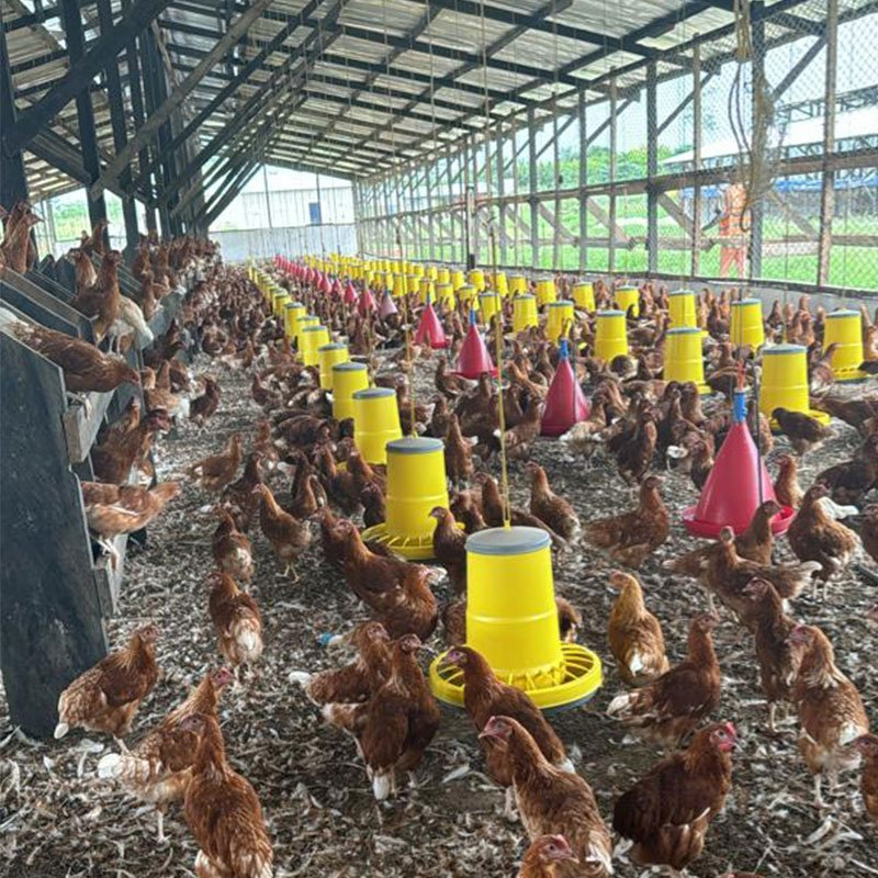 Hrănitoare din plastic cu grilă pentru prevenirea risipei 12 kg (galben) cu picioare [9]