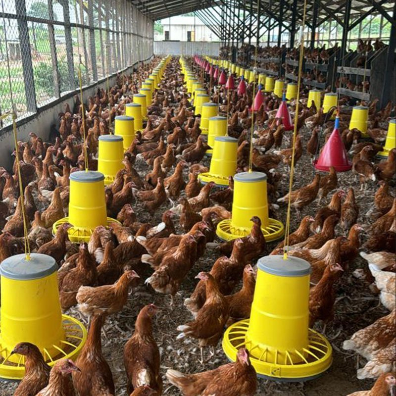 Hrănitoare din plastic cu grilă pentru prevenirea risipei 12 kg (galben) cu picioare [10]