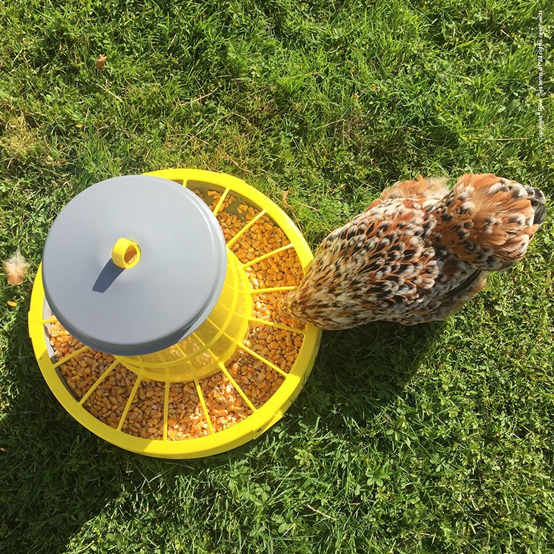 Hrănitoare din plastic cu grilă pentru prevenirea risipei 12 kg (galben) cu picioare [5]
