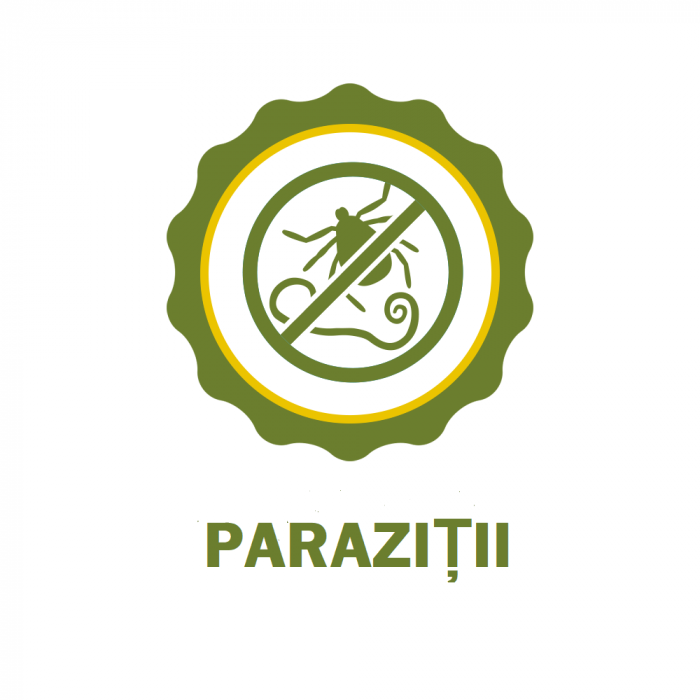 Oțet de mere  8% [4]
