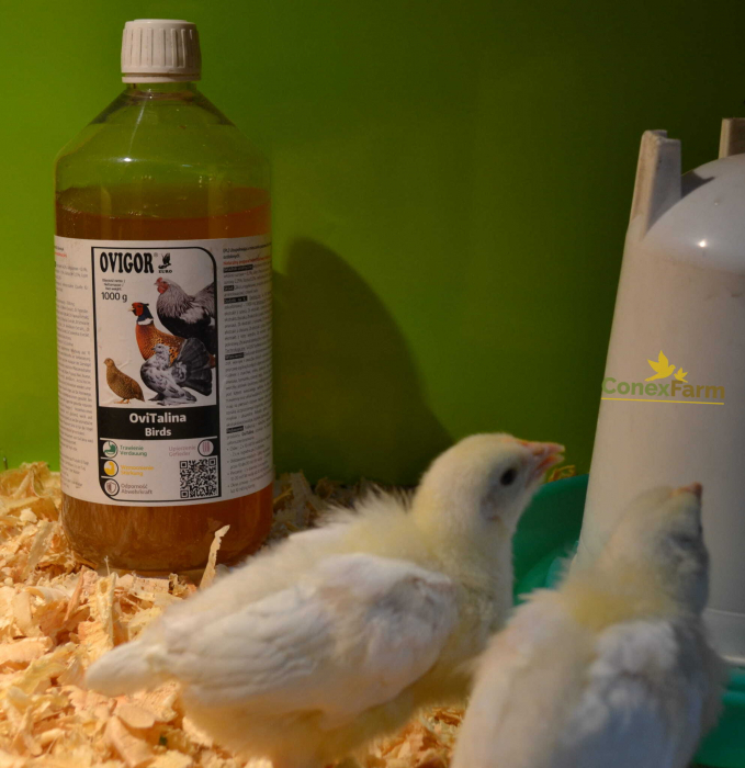 OviTalina Birds 1000 ml [2]
