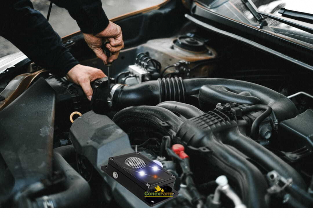 Sperietoare auto cu ultrasunete pentru jder, șoareci, șobolani, alimentat cu 4 baterii AAA in pachet [7]