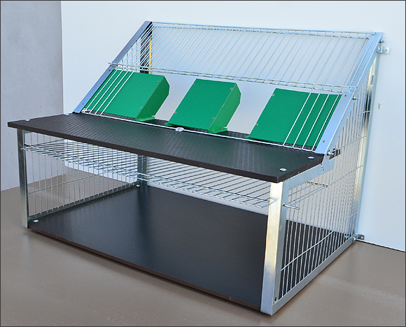 Sputnic 80 cm [12]