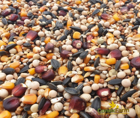 Hrană păsări - Da-Fincsi hrană de porumbei Q10 - 20 kg
