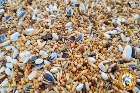 Hrană păsări - Da-Fincsi hrana pentru Pyrrhura - 3 kg