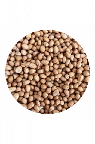 Hrană păsări - Alune porumbei - 1 KG