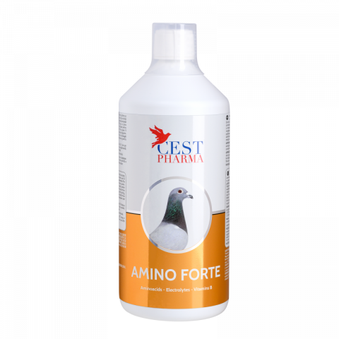 Suplimente Cest Pharma - Amino Forte - 1000ml