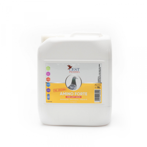 Suplimente Cest Pharma - Amino forte One Loft Race 5 Litri