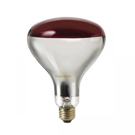 Bec infraroşu 100 W