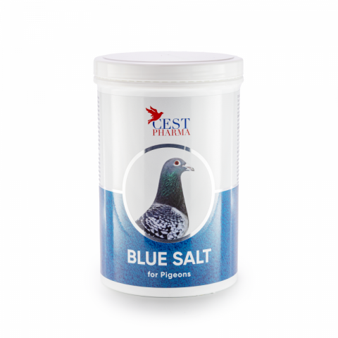 Suplimente Cest Pharma - Blue Salt 1000 g