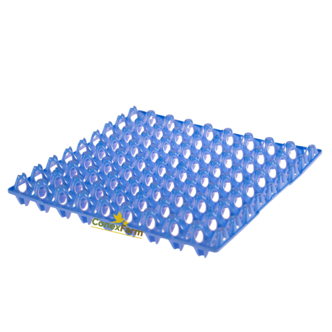 Accesorii - Cofrag albastru 72 oua prepelite