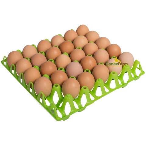 Accesorii - Cofrag pentru 30 oua gaini