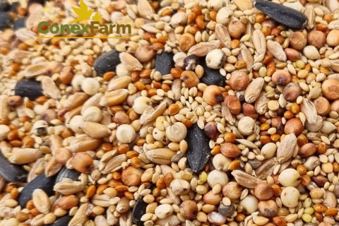 Hrană păsări - Da-Fincsi amestec de semințe pentru păsări sălbatice pt. iarnă - 3 kg